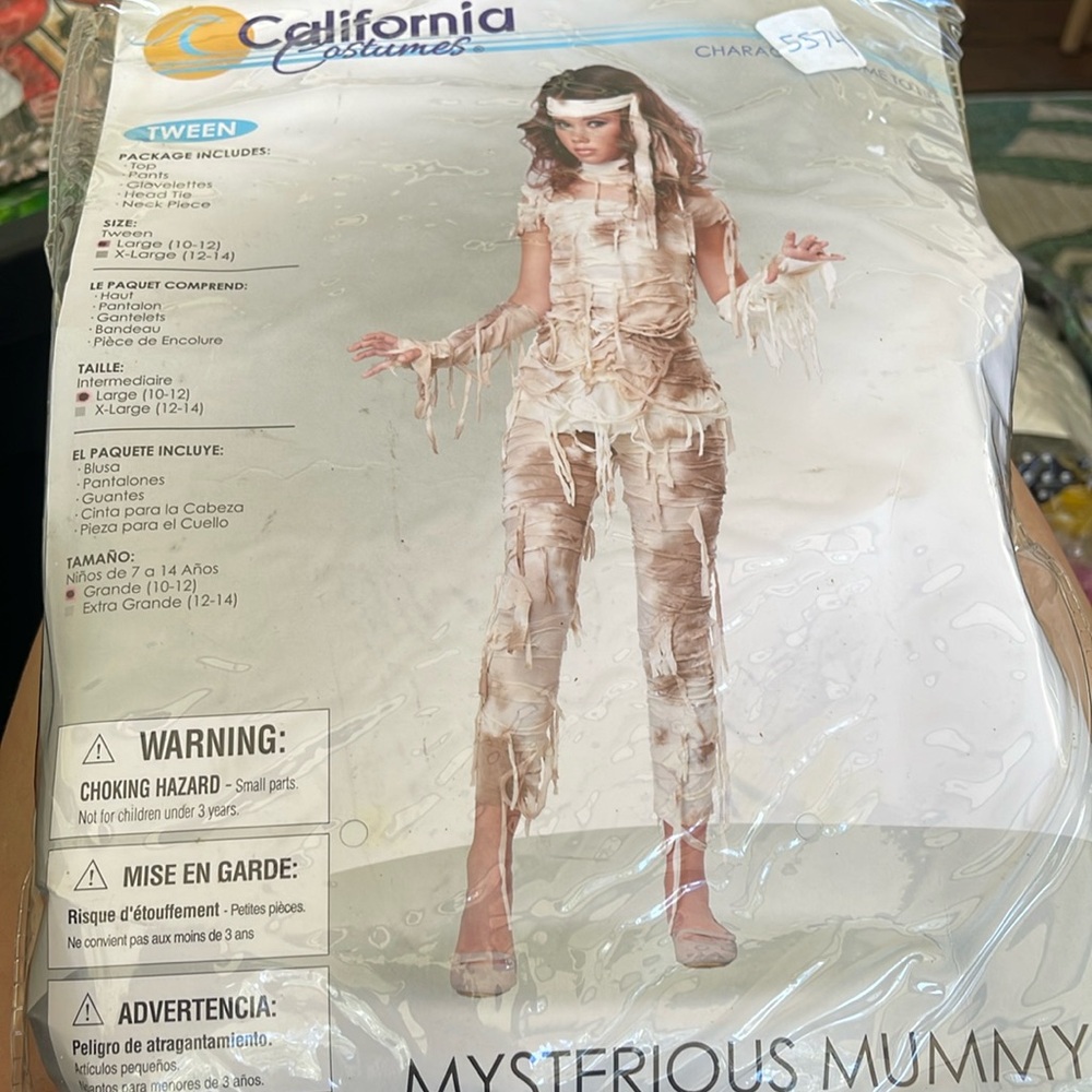 Mysterious Mummy
